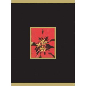 MGC5052 - Holiday Greeting Card - Elegance